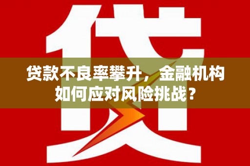 新晃贷款不良率攀升，金融机构如何应对风险挑战？