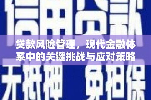 新晃贷款风险管理，现代金融体系中的关键挑战与应对策略