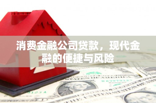 新晃消费金融公司贷款，现代金融的便捷与风险