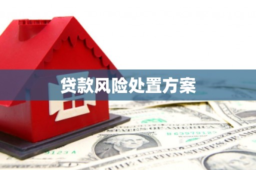 新晃贷款风险处置方案