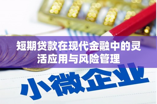 新晃短期贷款在现代金融中的灵活应用与风险管理