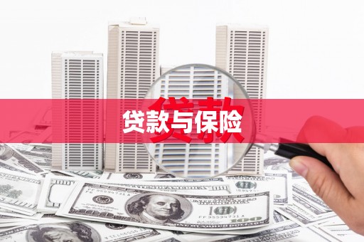 新晃贷款与保险