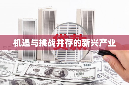 新晃机遇与挑战并存的新兴产业