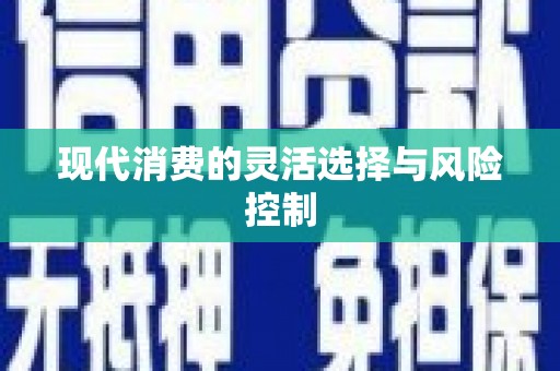 新晃现代消费的灵活选择与风险控制