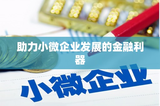 新晃助力小微企业发展的金融利器