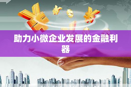 新晃助力小微企业发展的金融利器