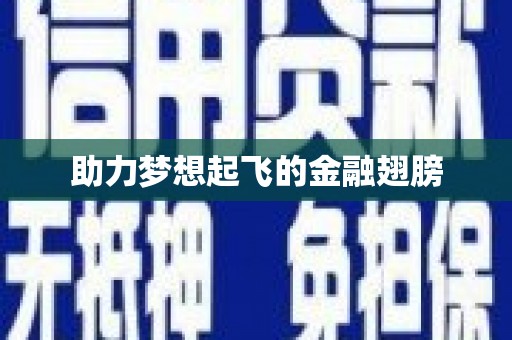 新晃助力梦想起飞的金融翅膀