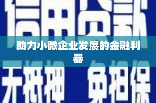 新晃助力小微企业发展的金融利器