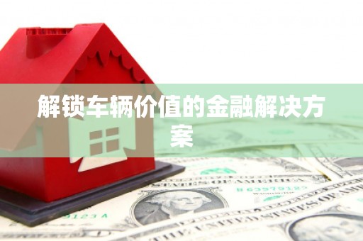 新晃解锁车辆价值的金融解决方案