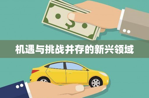 新晃机遇与挑战并存的新兴领域