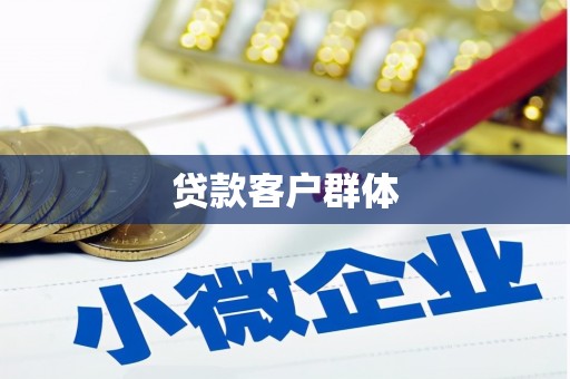 新晃贷款客户群体