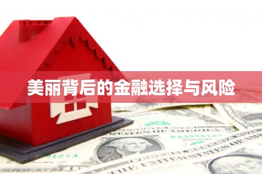新晃美丽背后的金融选择与风险