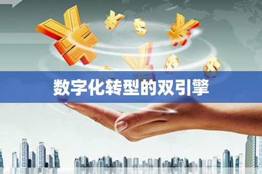 新晃数字化转型的双引擎