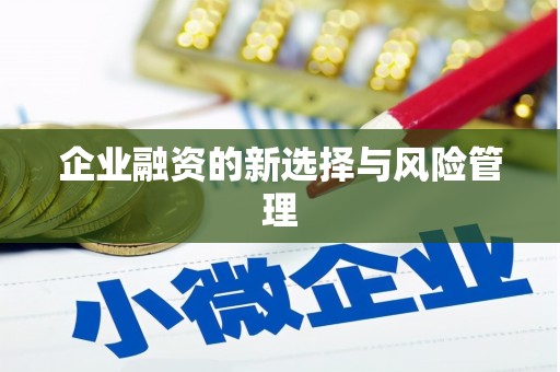 新晃企业融资的新选择与风险管理