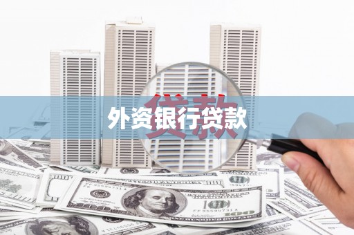 新晃外资银行贷款