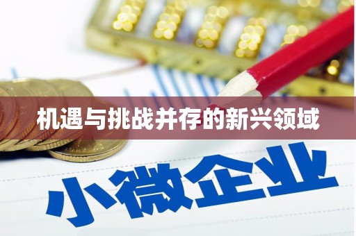 新晃机遇与挑战并存的新兴领域