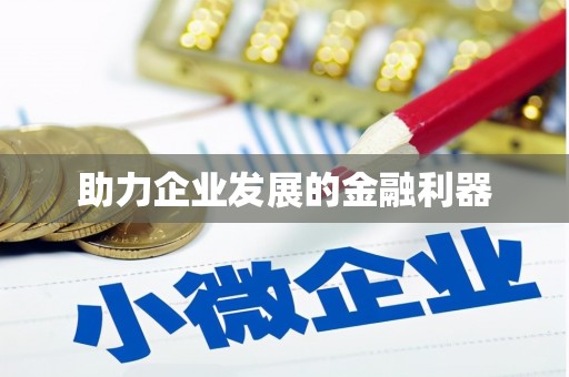 新晃助力企业发展的金融利器
