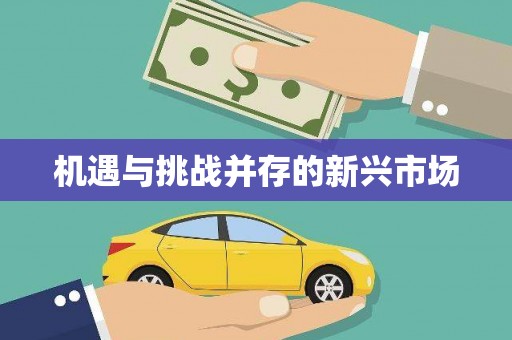 新晃机遇与挑战并存的新兴市场