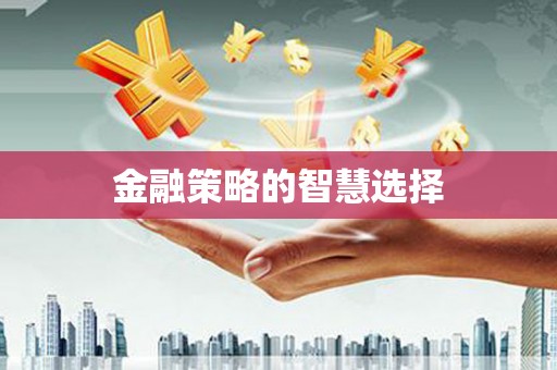 新晃金融策略的智慧选择