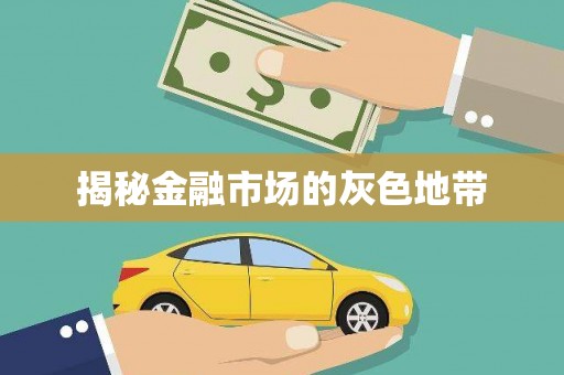 新晃揭秘金融市场的灰色地带