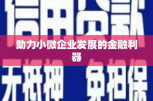 新晃助力小微企业发展的金融利器