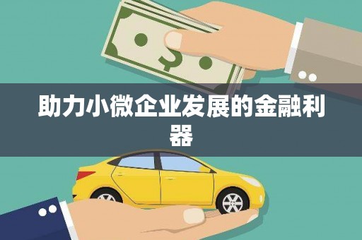 新晃助力小微企业发展的金融利器