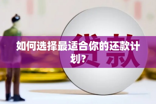新晃如何选择最适合你的还款计划？