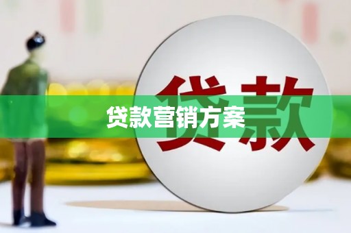 新晃贷款营销方案