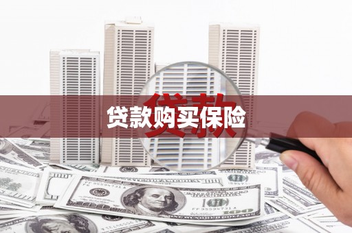 新晃贷款购买保险