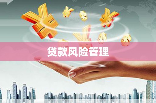 新晃贷款风险管理