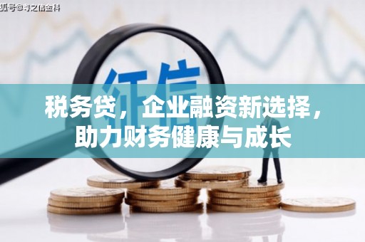 新晃税务贷，企业融资新选择，助力财务健康与成长